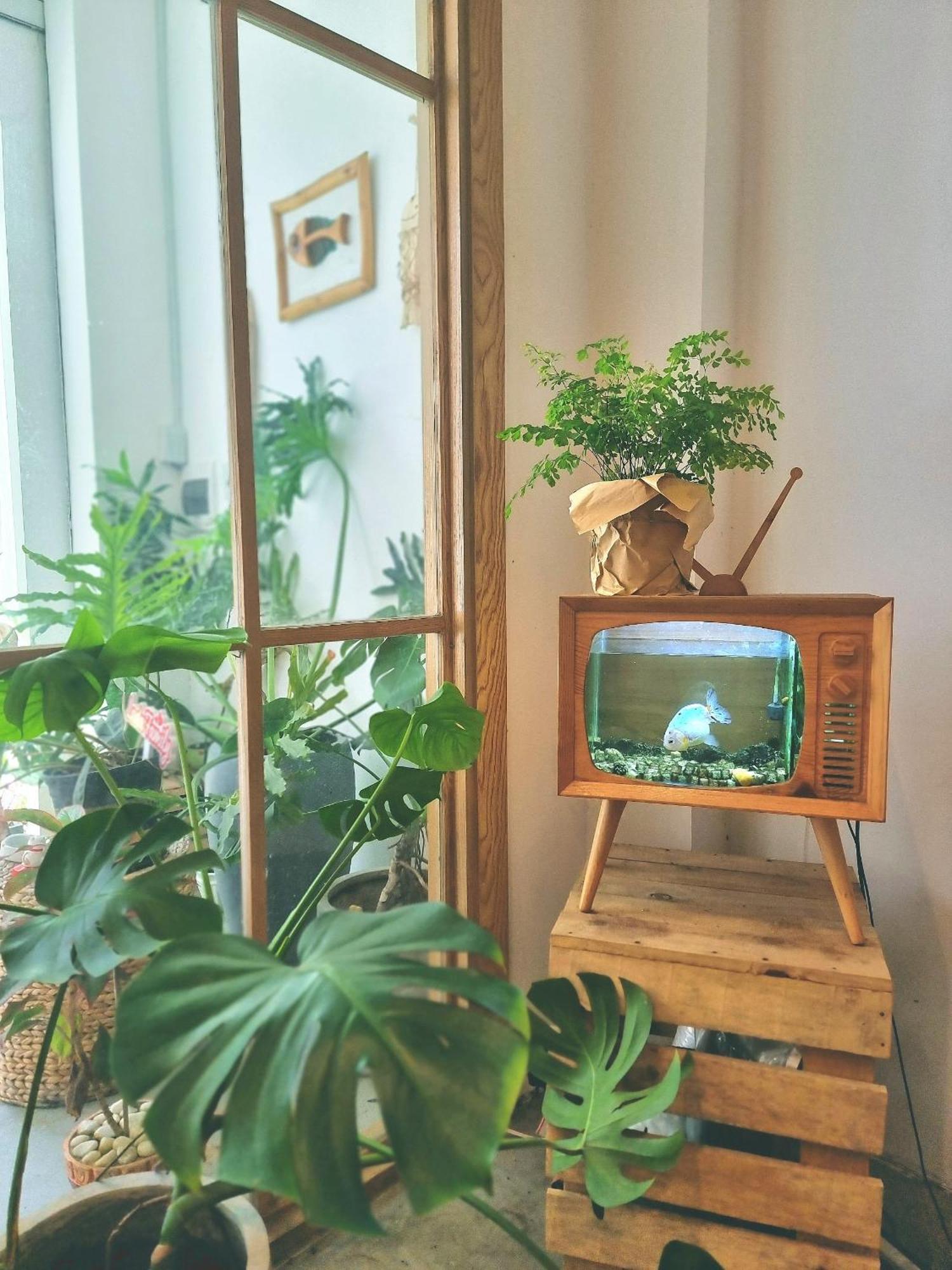 Lada's House Homestay