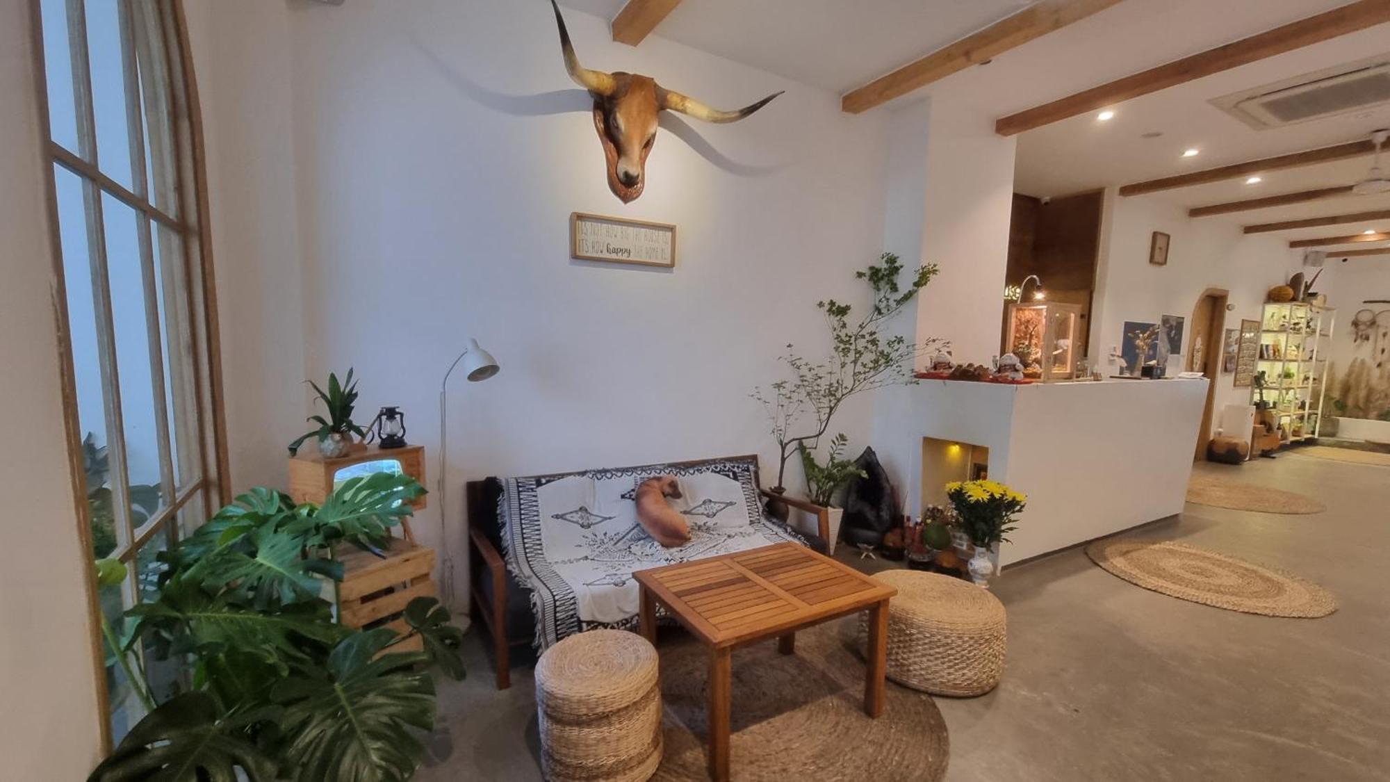 Homestay Lada's House